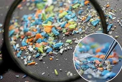 Èske nou ka retire mikroplastik yo nan kò a? Yon Dekouvèt Dekouvèt